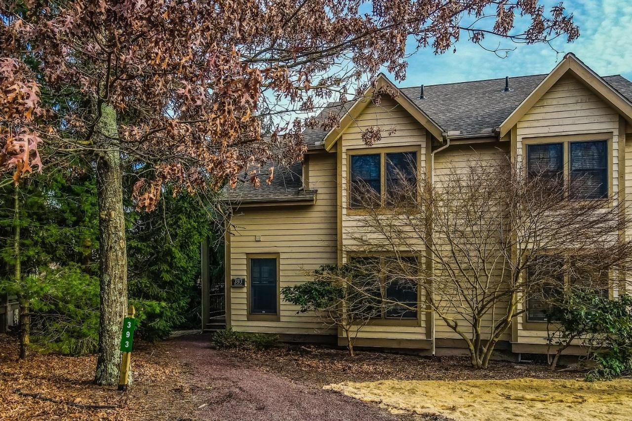 Northridge 393 Villa Tannersville Dış mekan fotoğraf